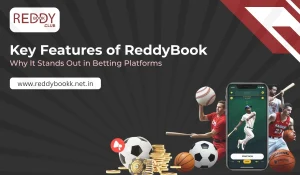 Key Features of ReddyBook Why It Stands Out in Betting Platforms