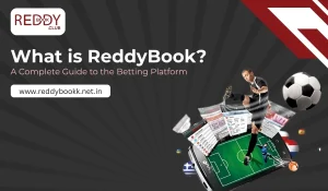 What is ReddyBook A Complete Guide to the Betting Platform