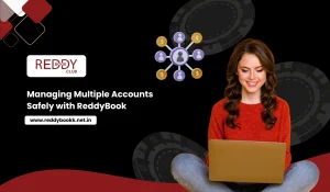 Managing Multiple Accounts Safely with ReddyBook